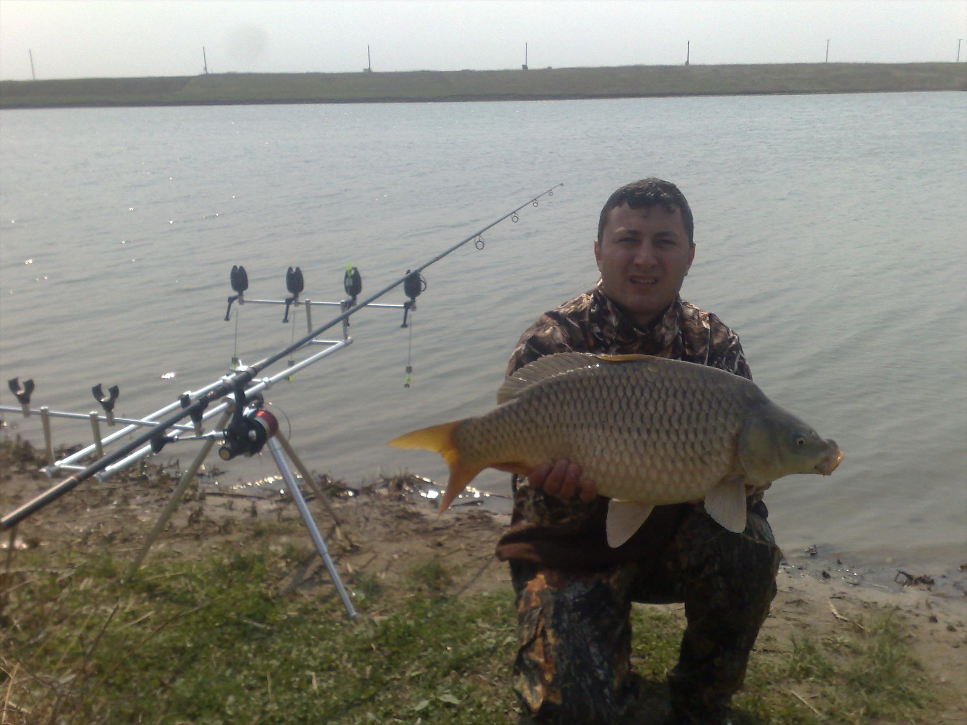 Hobaia - 110420091400.jpg